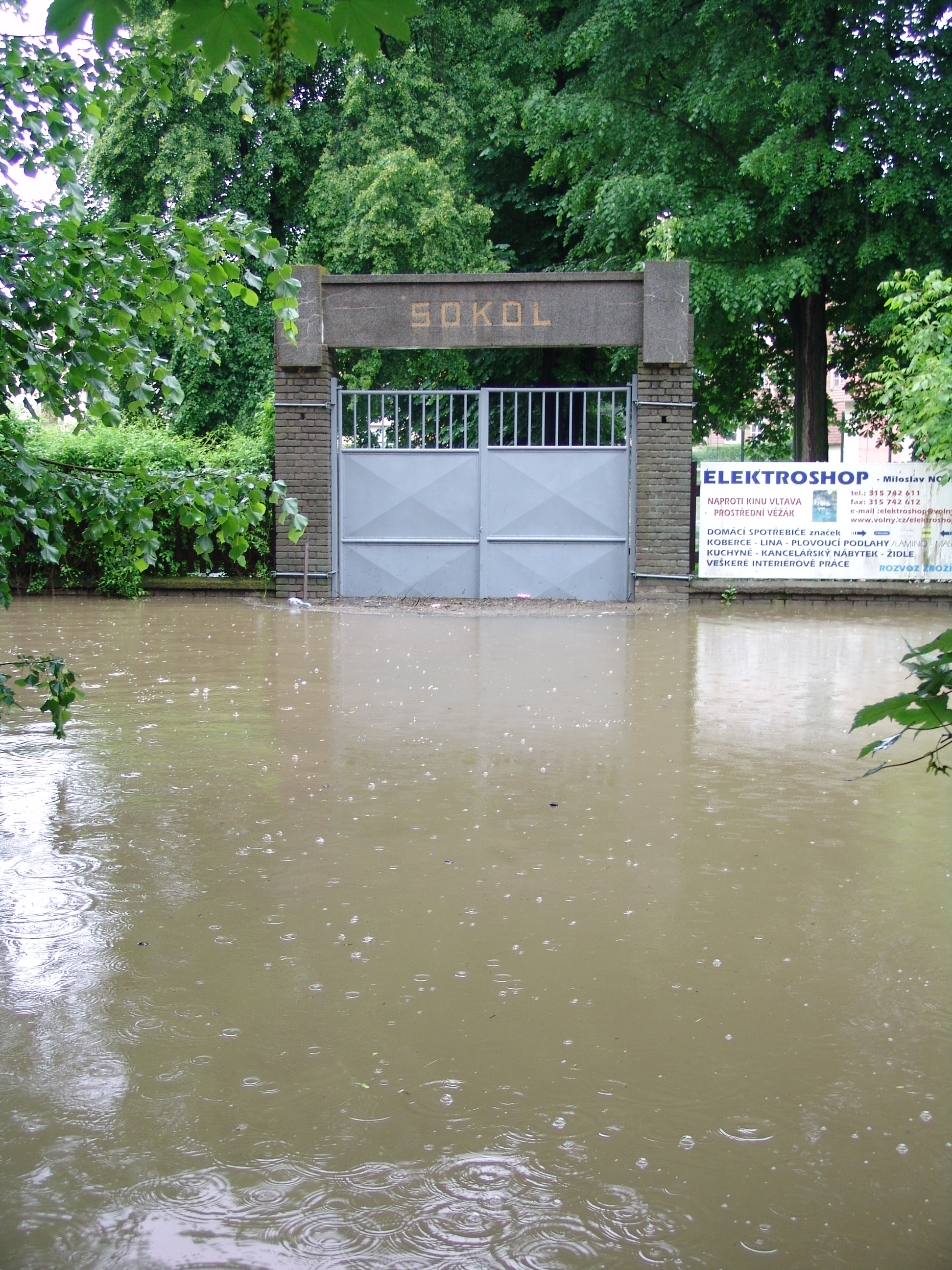 DSC06443